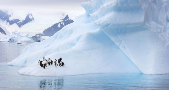 El colapso de los glaciares en la extensa región de hielo de la Antártida occidental parece inevitable.