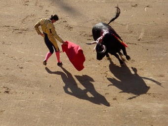 Concejales en Medellín rechazan espectáculos donde se asesinen animales y ETB y Codensa no patrocinarán corridas de toros.