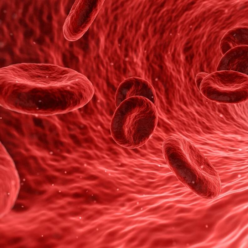 Encuentran microplásticos en la sangre humana por primera vez