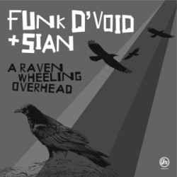 Funk D'void & Sian - A Raven Wheeling Overhead