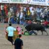 Fallo del Consejo de Estado es sobre corralejas, no sobre corridas de toros: magistrado