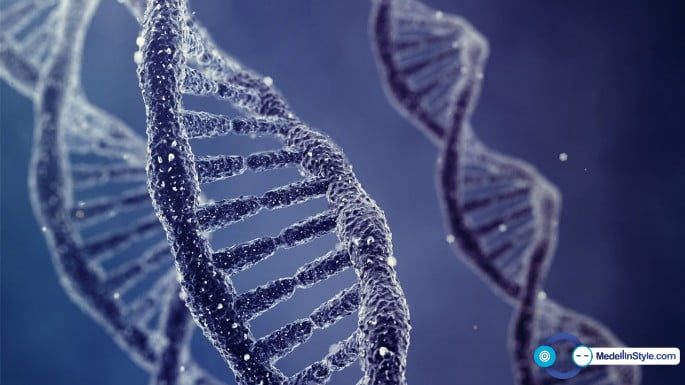 Organismo artificial con un código genético programado abre puerta a creación de organismos nunca antes vistos