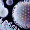 Futuros Artificiales: Bacterias híper-resistentes a desinfectantes y antibióticos colonizaran nuestros organismos