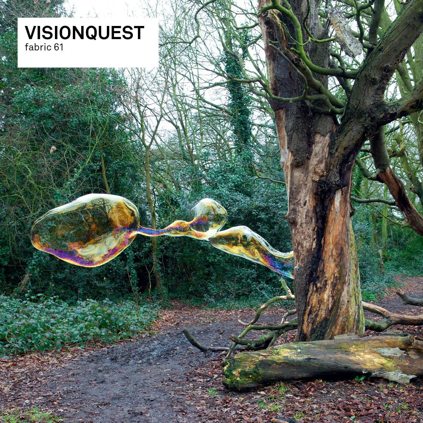 Visionquest Lanza Fabric 61 para este Diciembre