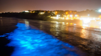 Olas fluorescentes iluminan una playa de California