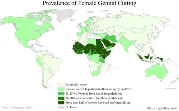 FGM: El Secretario General de las Naciones Unidas lanza Campaña anti mutilación genital en Mujeres