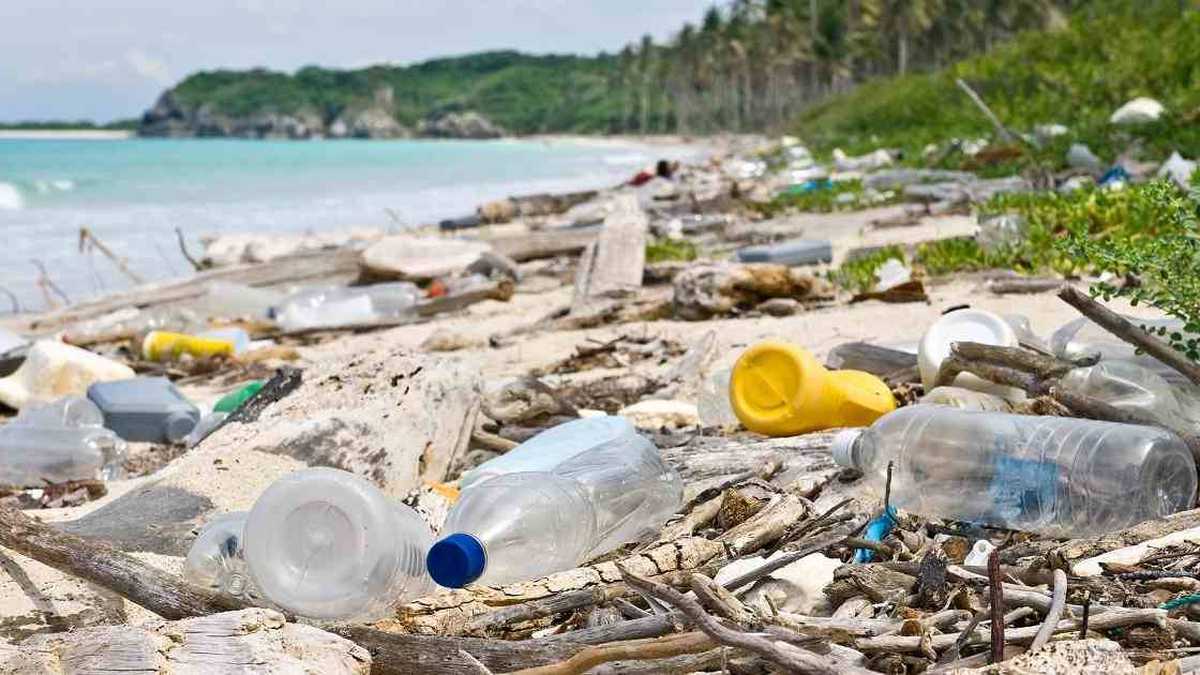 Es un hecho, Canadá prohíbe el plástico de un solo uso en el país