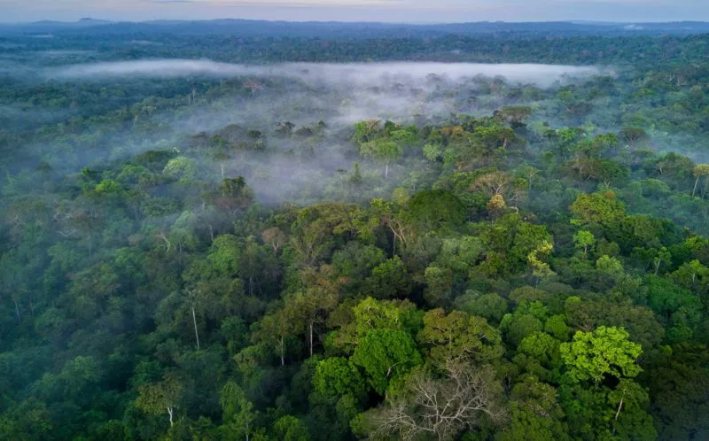 La sorprendente ciudad encontrada en el Amazonas