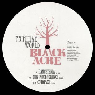Primitive World - Danceteria