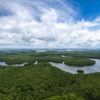 Bosques del Amazonas no se van a sostener si el cambio climático sigue aumentando