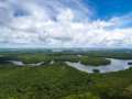 Bosques del Amazonas no se van a sostener si el cambio climático sigue aumentando