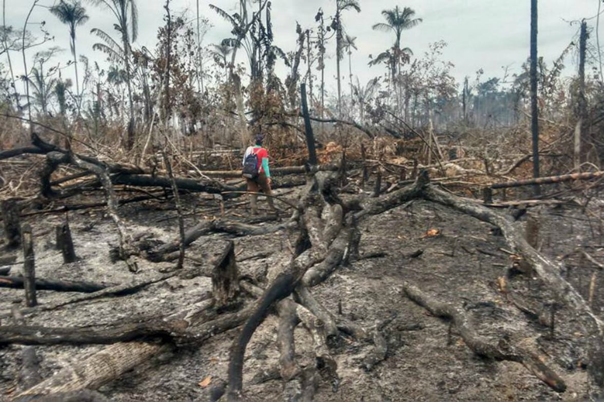Colombia le dice adiós a sus selvas