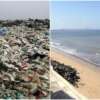 ¡Sí podemos! Una playa en India pasó de ser un basurero a hogar de tortugas