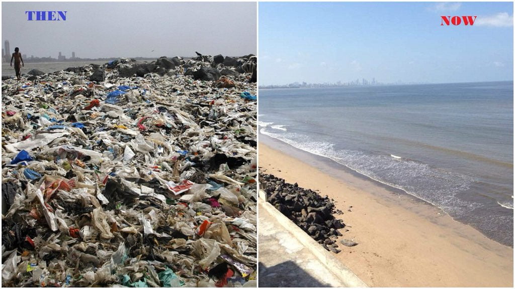 ¡Sí podemos! Una playa en India pasó de ser un basurero a hogar de tortugas