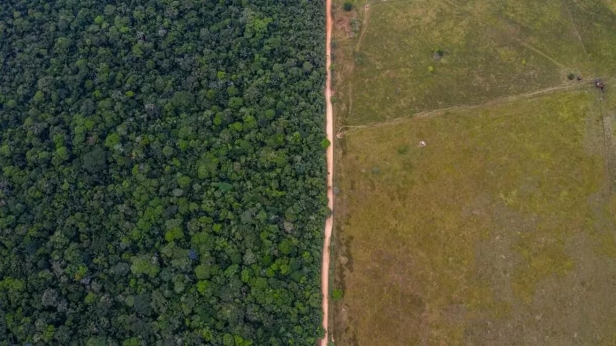 Colombia y las heridas de la deforestación en el suroriente