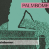 Disfruta los Snnipets del nuevo álbum de Palmbomen