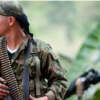 FARC anuncian cese unilateral del fuego