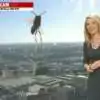 Video: Una abeja ‘gigante’ asusta a una presentadora de TV en directo