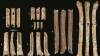 Hallan flautas con 12.000 años talladas en hueso que imitan el sonido de aves