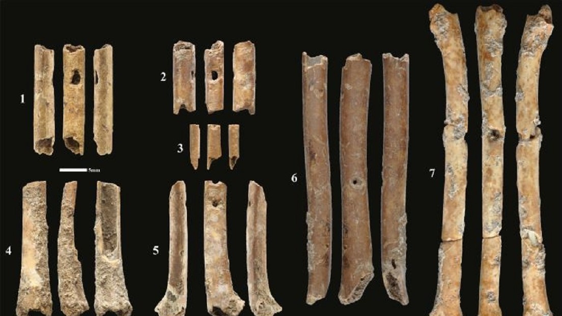 Hallan flautas con 12.000 años talladas en hueso que imitan el sonido de aves
