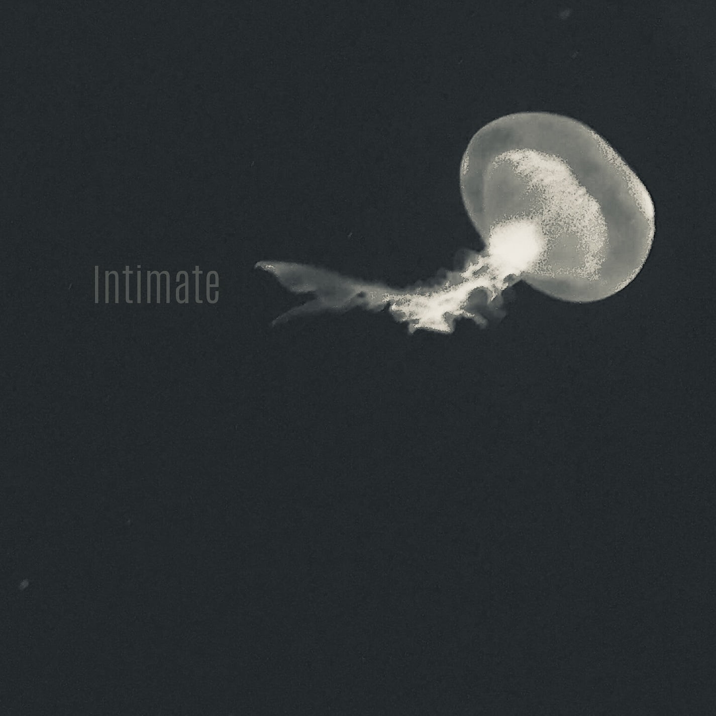 Monofonicos presenta nuevo lanzamiento [MNF 027] Dsum - Intimate