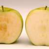 Cuidado? USA aprueba Manzanas genéticas que no se oxidan !