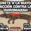 Ponte en la Piel del Toro en Bogotá y Medellín ¡Participa!