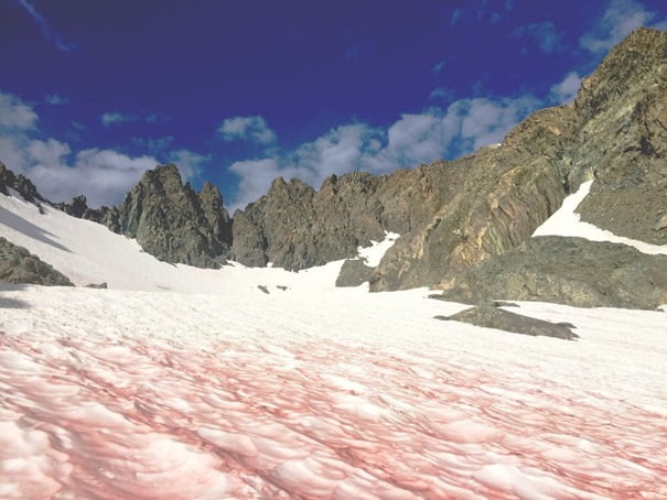 En Francia, la sangre de glaciar es el nuevo fenómeno que está acabando con los Alpes franceses