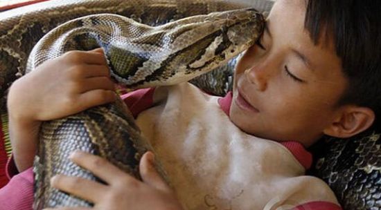 Niño camboyano de 6 años vive con su mascota anaconda desde que tenía tres meses (Fotos)