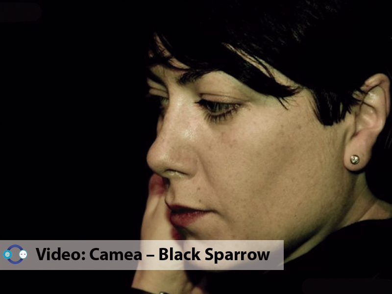 Video: Camea – Black Sparrow (Deadbeat Remix)
