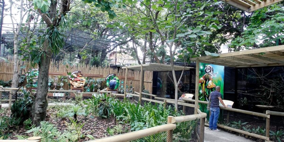 Medellín no encerrar más animales en su Zoológico