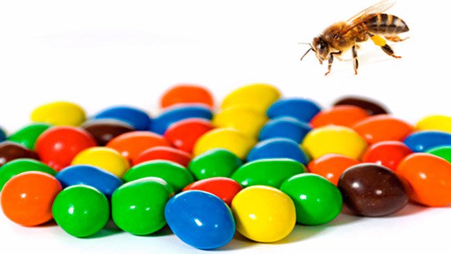 Después de comer M&M's, las abejas producen miel de colores