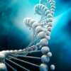 Crean un nuevo tipo de ADN sin base en la naturaleza