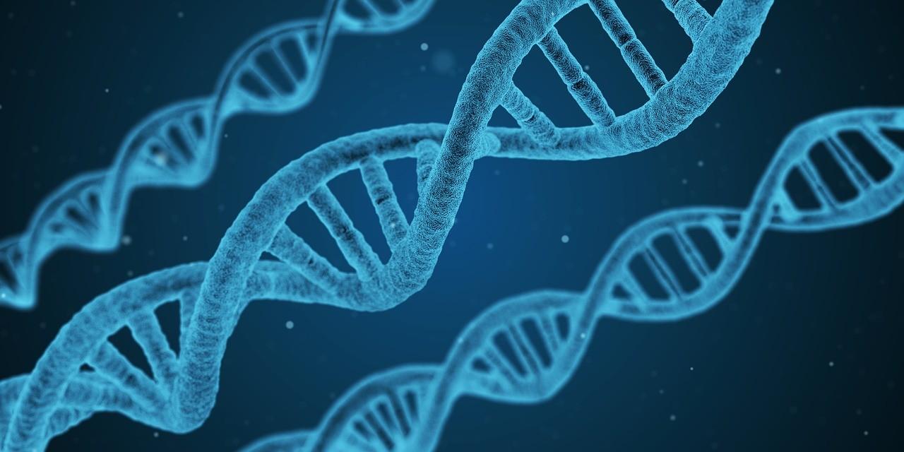 CRISPR-Cas la técnica para editar humanos ¡Los futuros artificiales son ahora!