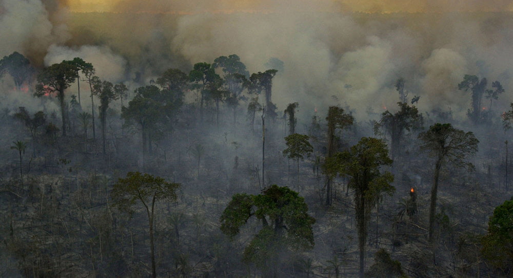 La Amazonía: El pulmón del planeta se está quemando