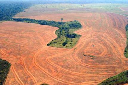 Video: Amazon Deforestation Satellital 8 year Timelapse