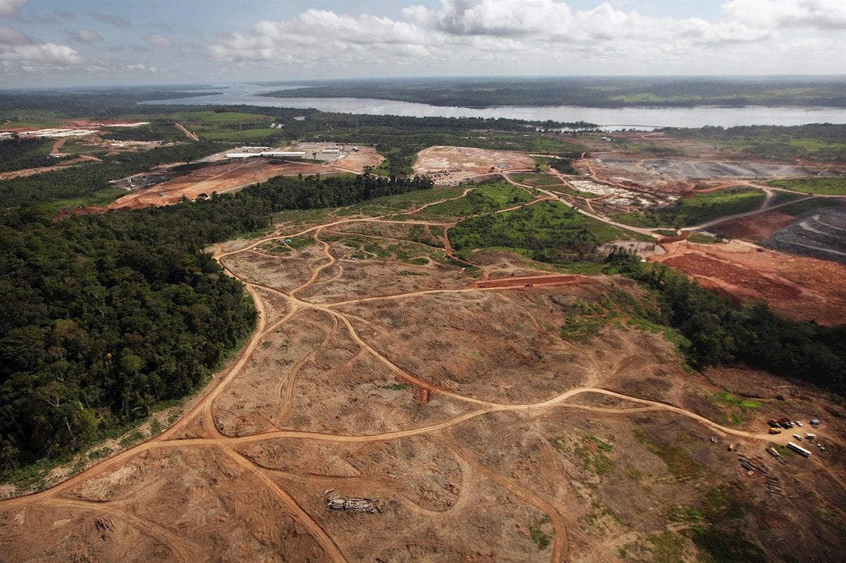 Otra vez se disparó la deforestación en la Amazonia colombiana