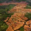 Nuevo Código Forestal de Brasil permitiría la deforestación legal en la Amazonia.