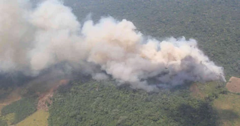 La Amazonía: El pulmón del planeta se está quemando