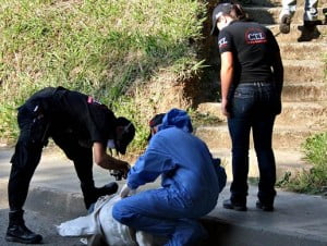 El pasado 22 de febrero hallaron el cadáver de un joven en un costal, en una vía del barrio Moravia de Medellín. Este año van siete hallazgos similares en el Valle de Aburrá. Foto de Carlos Taborda.
