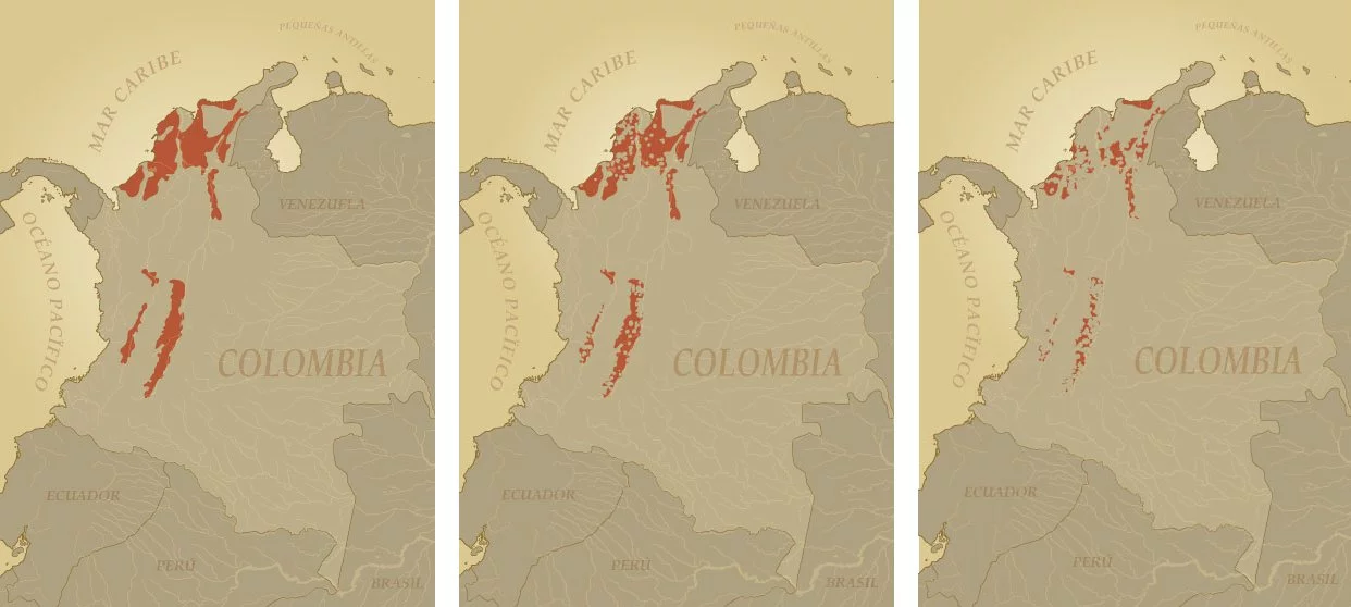 Solo nos queda el 8% de los bosques secos tropicales en Colombia
