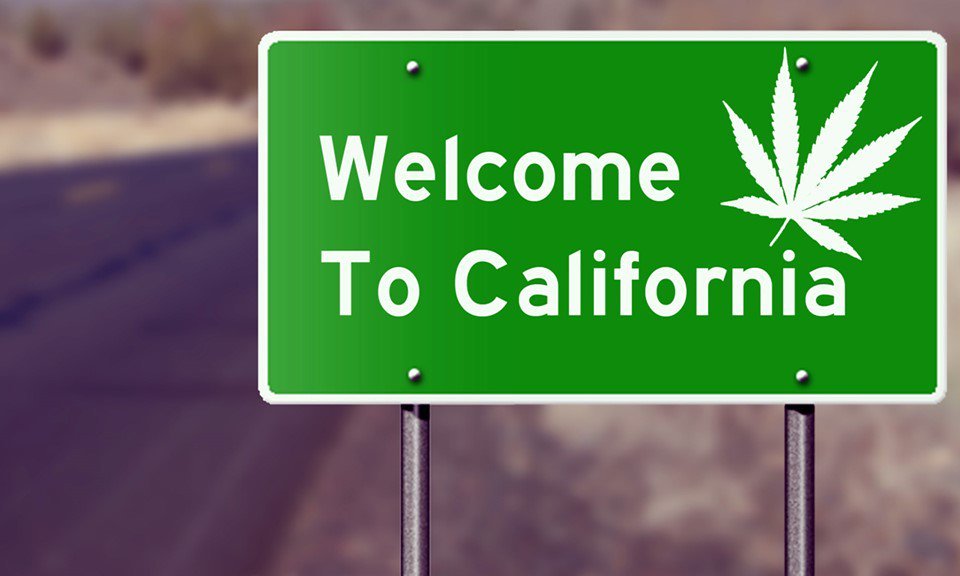California despenaliza el consumo de Marihuana con propósito recreativo