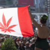 El senado canadiense votara por la legalización de la marihuana recreativa en todo el país
