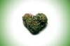Adultos jóvenes con mayor riesgo de infarto por consumo de Cannabis