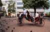 República Dominicana cambia los coches de caballos por carruajes eléctricos