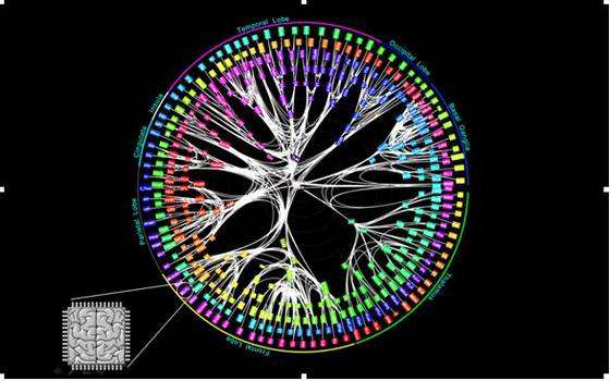 IBM construye 100 billones de neuronas capaces de hacer 150 trillones de sinapsis