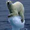 8$ billones dicen científicos de Hardvard que costaría recongelar el ártico