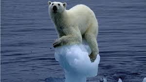 8$ billones dicen científicos de Hardvard que costaría recongelar el ártico