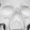 Un cráneo humano hecho exclusivamente de cocaína