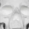 Un cráneo humano hecho exclusivamente de cocaína